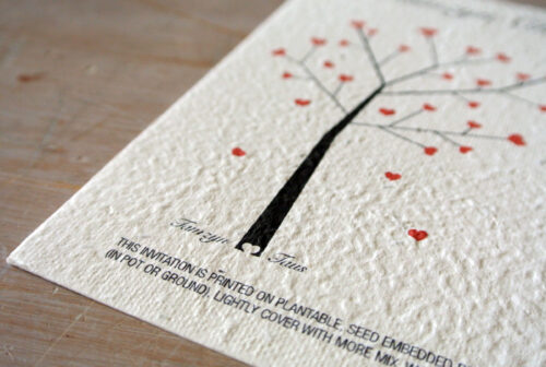 Alternative view of SeedPaperCard-1